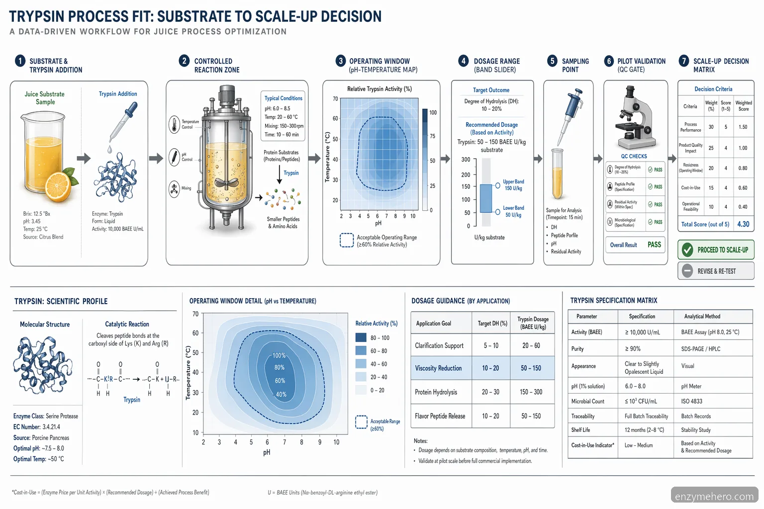 juice that contain trypsin enzyme process fit diagram showing dosage, pH-temperature window, and pilot QC gates