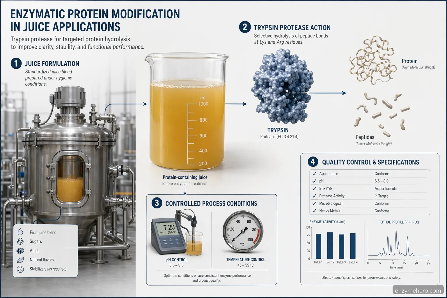 juice that contains trypsin enzyme formulation infographic with pH, temperature, QC, and supplier checks