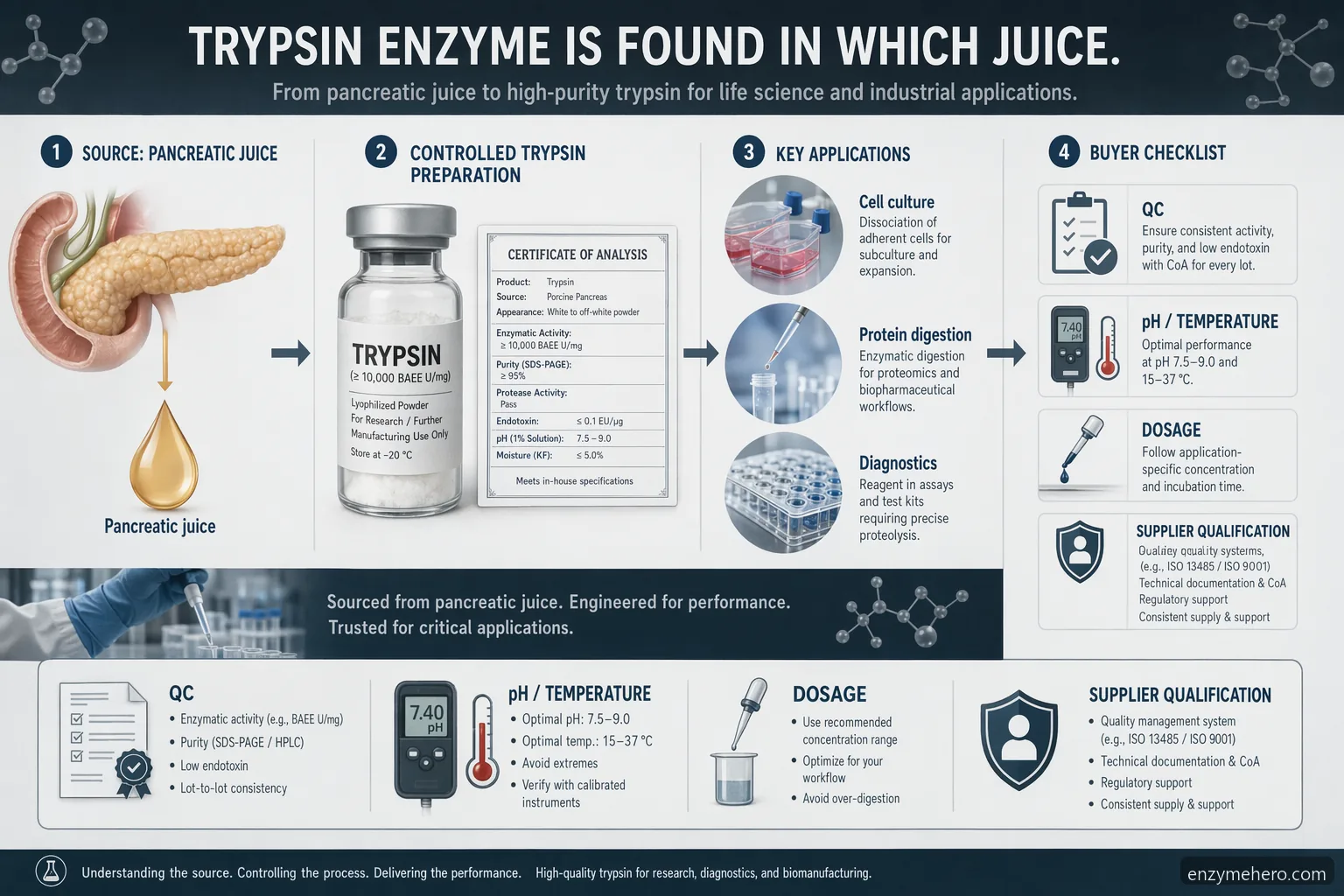 trypsin enzyme is found in which juice: B2B Supplier Guide infographic linking pancreatic juice to industrial uses